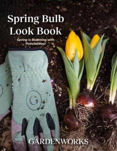 View our new Spring Bulb Look Book online!