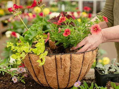 Bespoke Hanging Basket Workshop