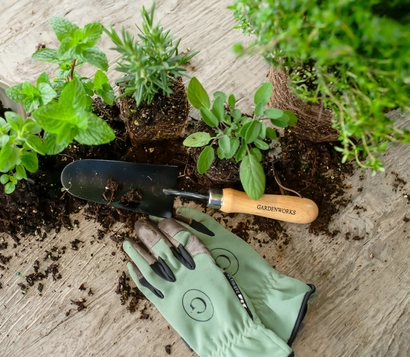 Culinary Herb Garden Workshop