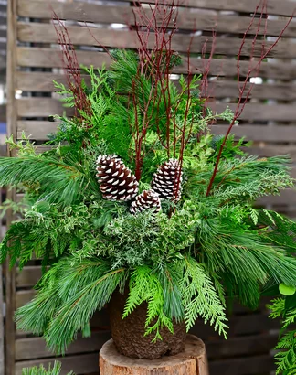 Festive Holiday Planter Workshop