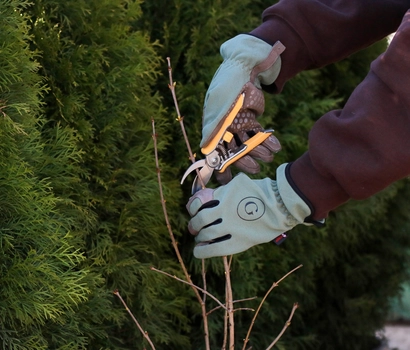 FREE Seminar: A Spring Ready Garden