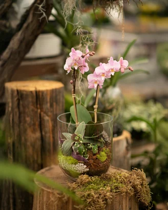 Orchid Elegance in Glass Workshop