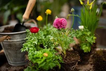 Spring Planter Workshop