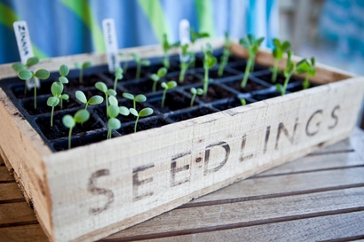 Starting Seeds Indoors - FREE Family Day Seminar