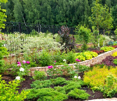 GARDENWORKS  Your Source for Latest Gardening News and Tips