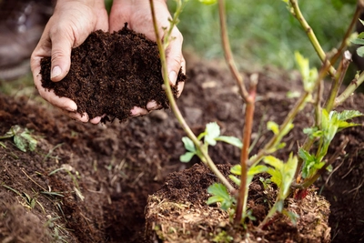 The Benefits of Organic Fertilizers