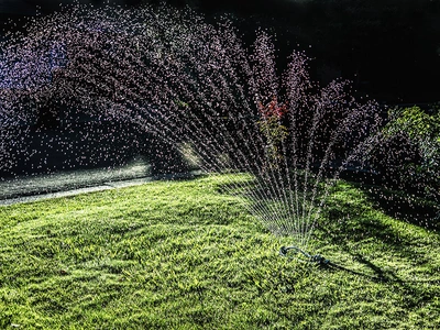 Water Essentials for a Thriving Garden