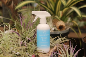 GARDENWORKS Airplant Love