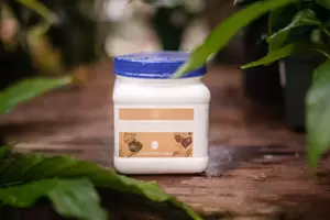 GARDENWORKS All Purpose Plant Food 20-20-20