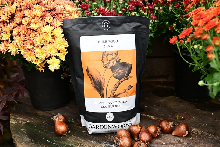 GARDENWORKS Bulb Food 3-15-5