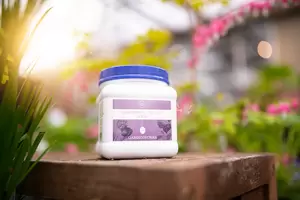 GARDENWORKS Flowering Plant Food 15-30-15