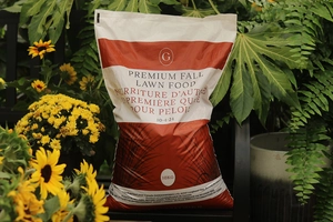 GARDENWORKS Premium Fall Lawn Food 10-4-24