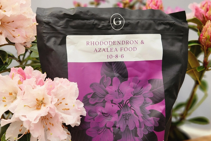 GARDENWORKS Rhododendron & Azalea Food 10-8-6