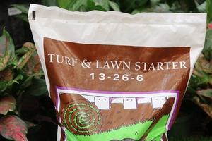 GARDENWORKS Turf & Lawn Starter 13-26-6