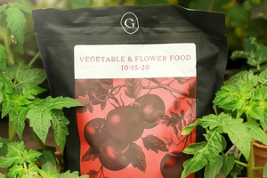 GARDENWORKS Vegetable & Flower Food 10-15-20