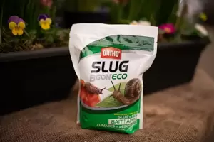 Ortho® Slug B Gon® Slug and Snail Bait
